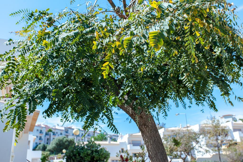 Villa Vista Anders Mar Lagos Esterno foto